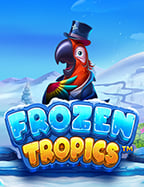 รีวิว winner55 ทาง เข้า สล็อต ออนไลน์ สนุกจริงอะไรจริง